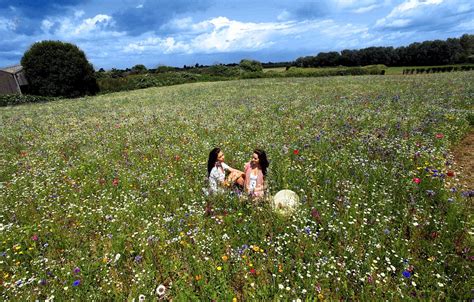 one couple 57 flowers and the somerset meadow they turned into a field