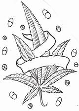 Coloring Leaf Pages Pot Marijuana Weed Drawing Cannabis Stoner Tattoo Plant Drawings Adult Sketch Sheets Funny Printable Outline Designs Trippy sketch template