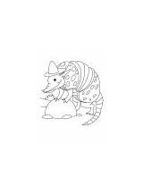 Coloring Pages Armadillo Flies Playing sketch template