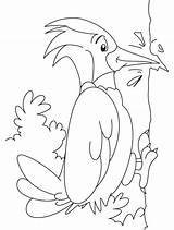 Woodpecker Coloring Pages Kids Great Spotted Print Color Printable Birds Woodpeckers Children Bird Preschool Animals Pdf Kindergarten Topcoloringpages Popular Recommended sketch template