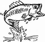 Coloring Fish Pages Fishing Bass Printable Trout Color Outline Kids Print Lure School Goldfish Cool Fly Epic Adults Drawing Getdrawings sketch template