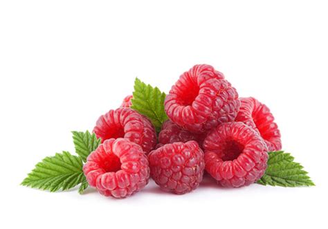 raspberry fertilizer haifa group