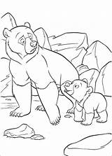 Bear Brother Coloring Pages Koda Kenai Book Info Printable Drawing sketch template