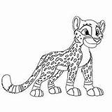 Cheetah Jaguar Cheetahs ぬりえ sketch template