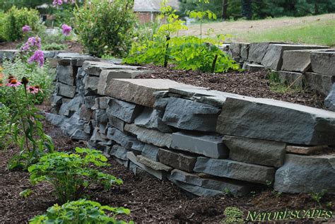 Natural Stone Retaining Walls Naturescapes Landscape Specialists