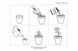 Sequence Plant Worksheet Planting Growth Sequencing Coloring Scuola Flower Activity Template Esl Speechtherapyideas Larger Printablecolouringpages Credit Index Card sketch template