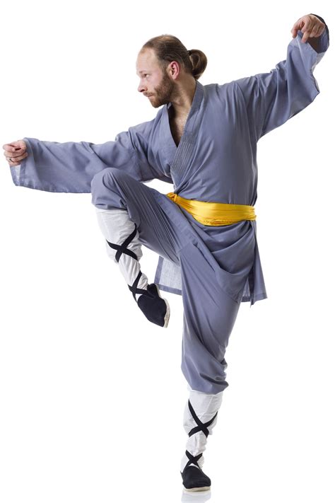 kung fu fighting styles sports aspire