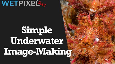 keeping underwater image making simple youtube