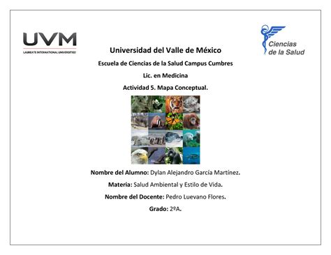 dyl actividad  mapa conceptual universidad del valle de mexico