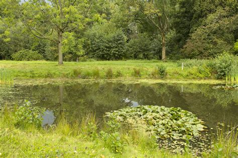 natuurpark het waterwingebied vvv amersfoort