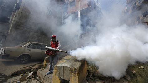 the zika virus is still a threat here s what the experts know the