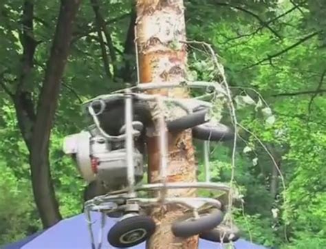 tree climbing robotic trimmer robotic gizmos