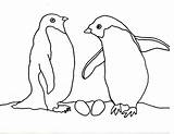 Penguin Coloring Penguins Pages Adelie Family Pair Their Nest Cartoons Paperblog Animal Print Arnold Caroline Books sketch template