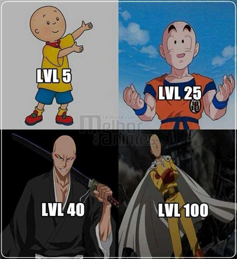 Levels After Level Reaches Level 100 One Punch Man