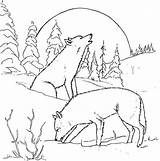 Wolf Coloring Pages Howling Pack Moon Print Printable Cool Arctic Drawing Couple Coloring4free Wolves Sheets Night Animals Color Realistic Related sketch template