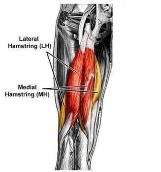 hamstring move  youve  missing  video soma system