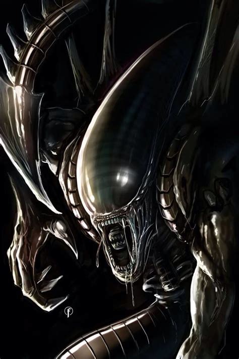 1000 Images About Aliens Vs Predator On Pinterest Xenomorph Aliens