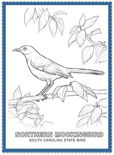 state bird coloring pages  bird coloring pages flag coloring pages