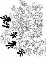 Matisse Coloring Goldfish sketch template