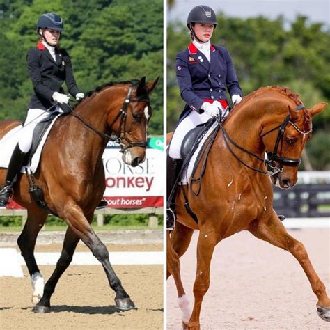 sponsorship news  exciting young dressage riders join european horse supplements brand