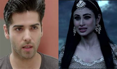 naagin 2 25 february 2017 written update preview rudra teams with shesha to separate shivaangi