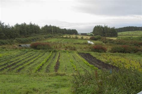 farm garden  malcolm neal cc  sa geograph britain  ireland