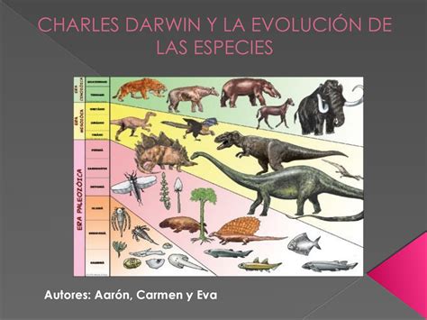 Evolucion De Las Especies Segun Darwin Dinami