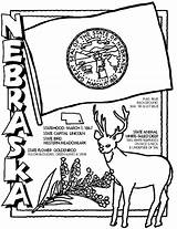 Nebraska Cornhuskers Husker Crayola 保存 sketch template