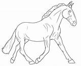 Coloring Breyer Horse Pages Contest Printable Template Popular sketch template