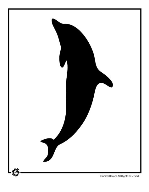 dolphin template woo jr kids activities childrens publishing