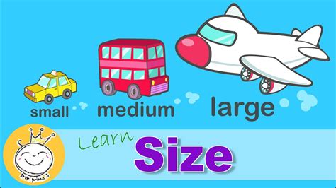 learn sizes small medium large size comparison  kids youtube