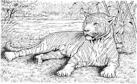 animal realistic coloring pages  adults thekidsworksheet