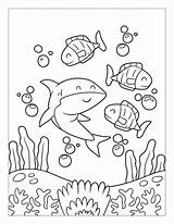 Swimming Sharks Fishes Verbnow Corals sketch template