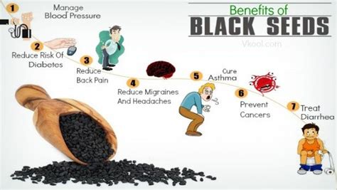 Top 26 Benefits Of Black Seeds For Health