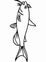 Coloring Pages Catfish Printable Fish Minecraft sketch template