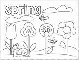 Coloring Grade Pages 1st Spring 5th First Elementary Graders Photosynthesis Students School Third Colors 6th Sonic Color Second Sheet Welcome sketch template