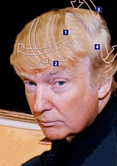 funniest comb overs comb  comb overs combover oddee