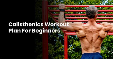 calisthenics workout plan for beginners bodyweightheaven