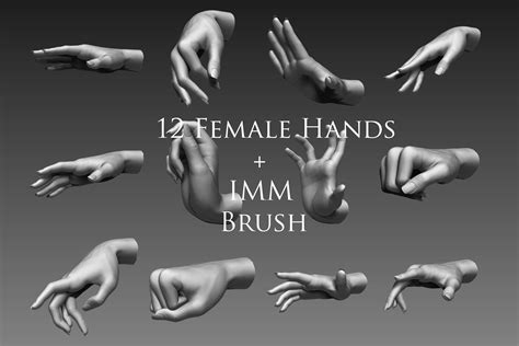 12 Female Hands 3d Model Cgtrader
