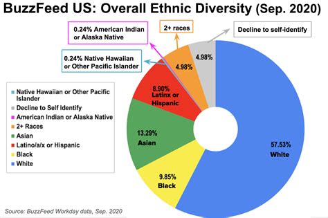 racial demographics  pie chart home interior design