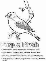 Coloring Finch State Bird Purple Symbols Printables States United Designlooter Drawings Ws Newhampshire Kidzone Geography Usa 25kb sketch template