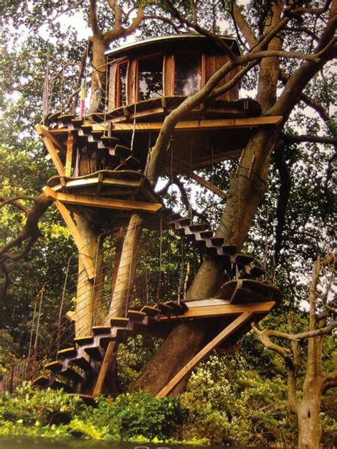 37 Luxury Tree Houses You’d Like To Move Into