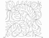 Coloring Pattern Fern Template sketch template