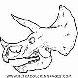 Triceratops Colorear Cráneo Craneo sketch template