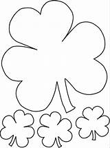 Clover Coloring Shamrock Comment First sketch template