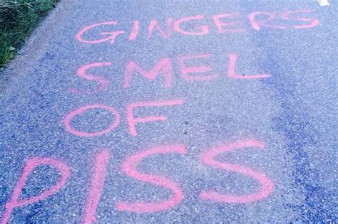 gingers smell of p s police investigate hate crime graffiti just