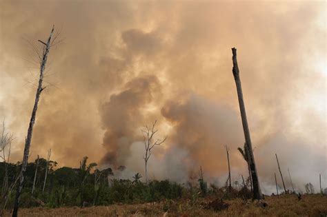 amazon burns  fires threaten earths largest rainforest impakter