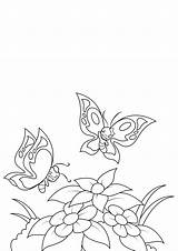 Farfalle Disegno Mariposas Colorear Kleurplaat Butterflies Vlinders Lente Stampare sketch template