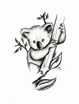 Koala Tiere Zeichnen Easy Bleistift Tierzeichnungen Süße Animals Nach Disegni Tier Tieren Nachzeichnen Coole Anleitung Koalabär Koalas Px Skizzen Kunst sketch template