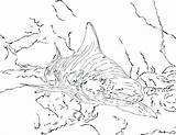 Coloring Sharknado Pages Getcolorings Shark Getdrawings Great sketch template